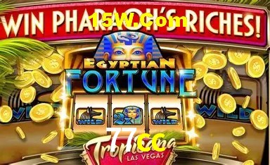 Avaliações dos Jogadores 77cc