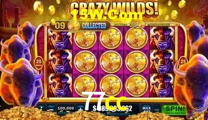 77cc Salvador - Strategy